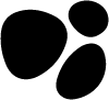 Corsilabs Logo